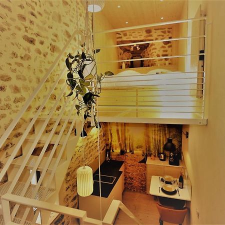 Au Vingtain - Appartement & Spa Atypique Brindas Eksteriør billede